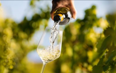 Vin Bio, biodynamique & nature : quelles différences ?